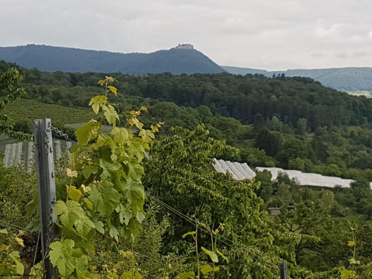 Ferienwohnung Burgblick Im Neuffener Tal Mit Sauna Und Wallbox Frickenhausen  Exterior foto